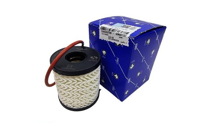 فیلتر روغن پژو ۲۰۶ کوتاه با اورینگ شرکتی ایساکو اصل